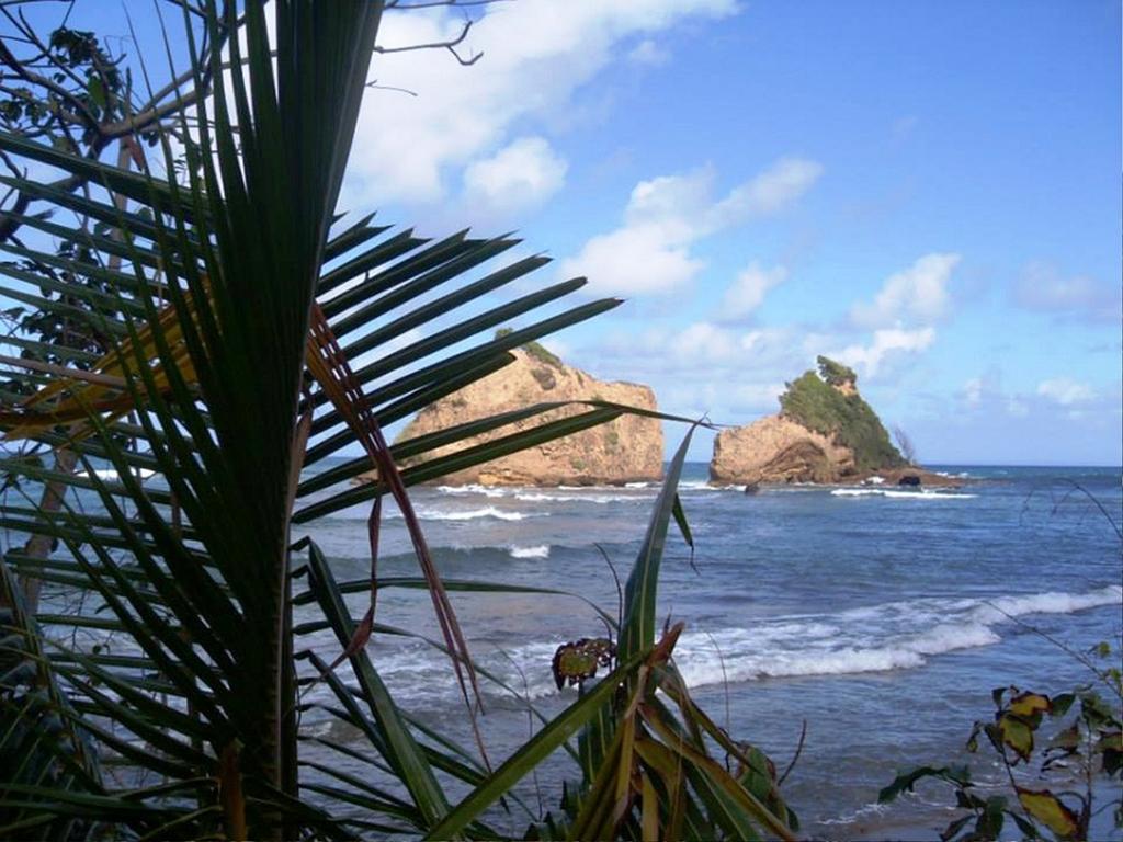 Calibishie Sandbar Rom bilde